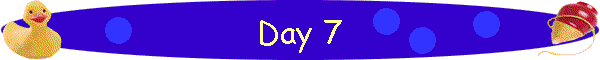 Day 7