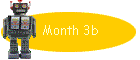 Month 3b